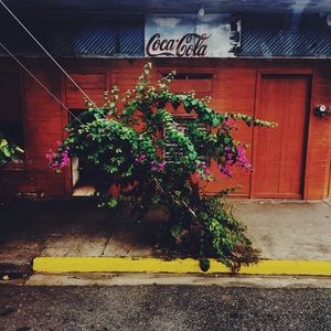 Meet your Posher, Ruth